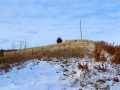 Elk Mound Land Real Estate