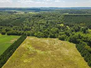 Boyceville Land Real Estate