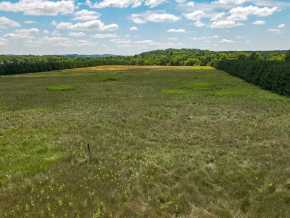 Boyceville Land Real Estate