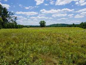 Boyceville Land Real Estate