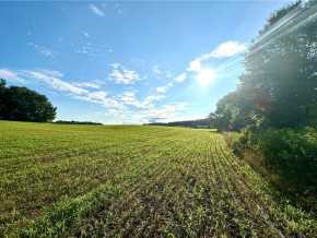 Elk Mound Land Real Estate