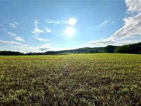 Elk Mound Land Real Estate