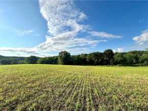 Elk Mound Land Real Estate