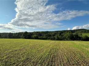 Elk Mound Land Real Estate