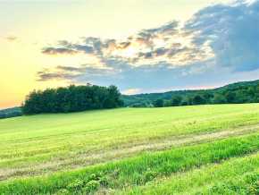 Elk Mound Land Real Estate