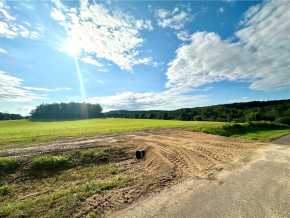 Elk Mound Land Real Estate