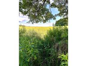 Elk Mound Land Real Estate