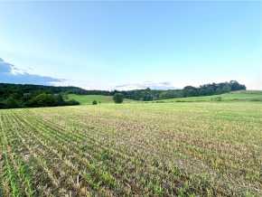 Elk Mound Land Real Estate