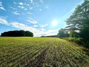 Elk Mound Land Real Estate