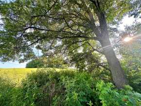 Elk Mound Land Real Estate