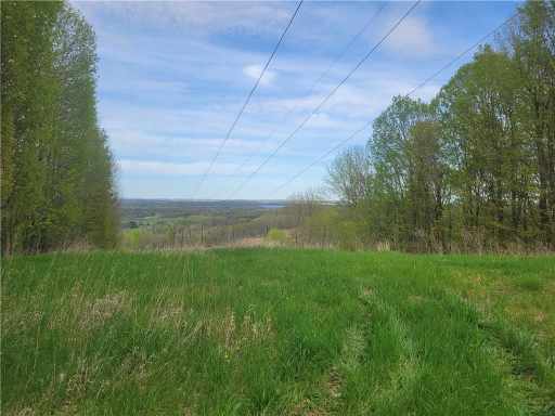 Menomonie Farm Real Estate