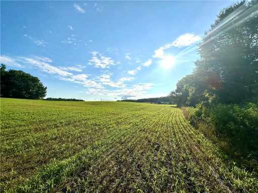 Elk Mound Land Real Estate