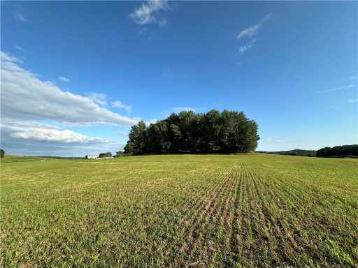 Elk Mound Land Real Estate