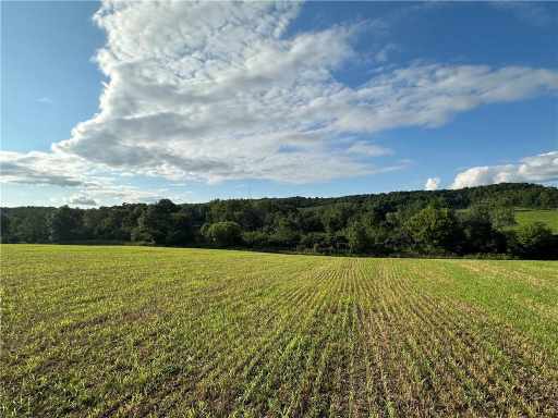 Elk Mound Land Real Estate