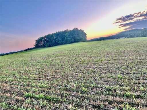 Elk Mound Land Real Estate