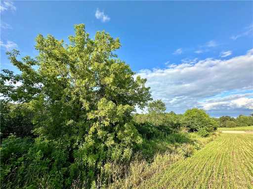 Elk Mound Land Real Estate