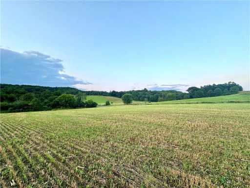 Elk Mound Land Real Estate