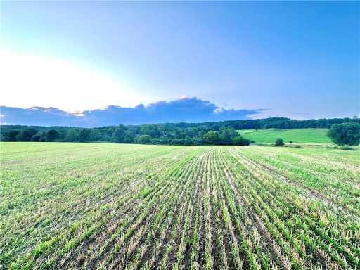 Elk Mound Land Real Estate