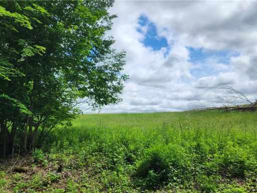 Boyceville Land Real Estate