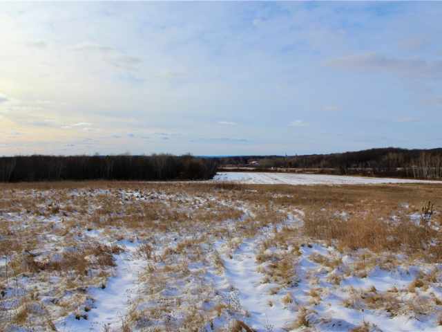 Elk Mound Land Real Estate