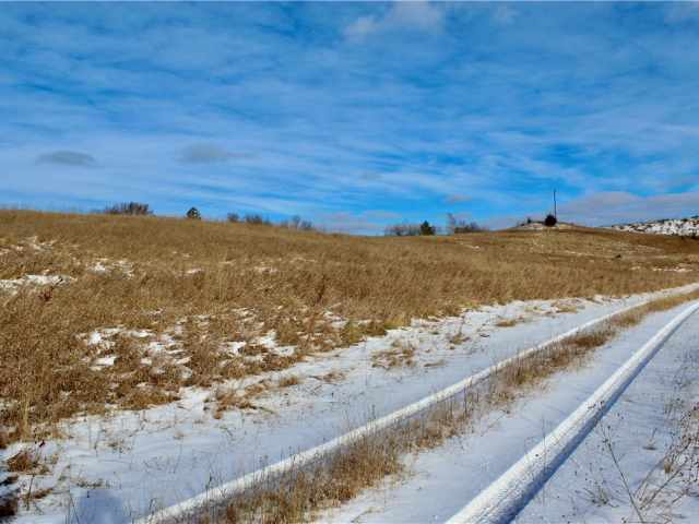 Elk Mound Land Real Estate