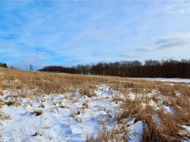 Elk Mound Land Real Estate