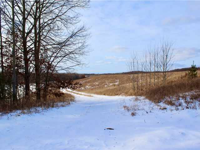 Elk Mound Land Real Estate