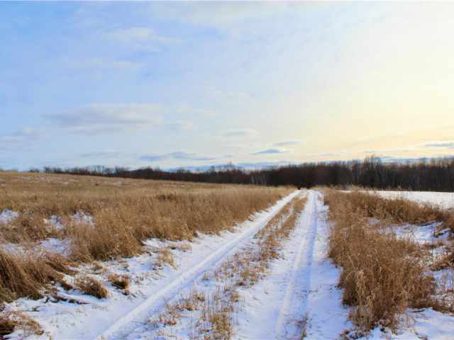 Elk Mound Land Real Estate