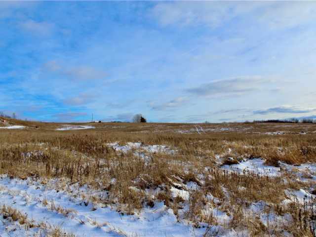 Elk Mound Land Real Estate