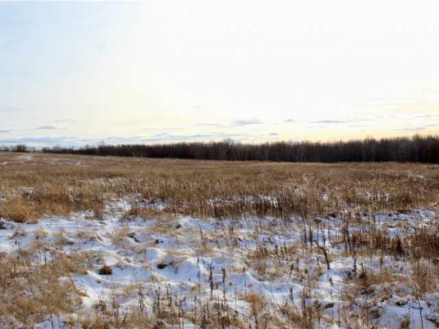 Elk Mound Land Real Estate