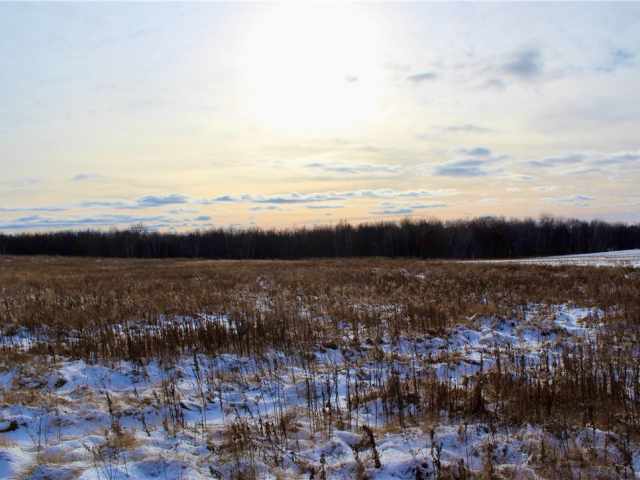 Elk Mound Land Real Estate