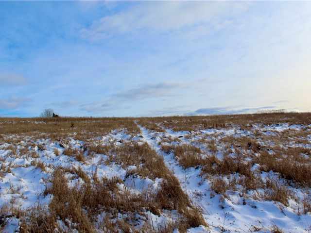 Elk Mound Land Real Estate