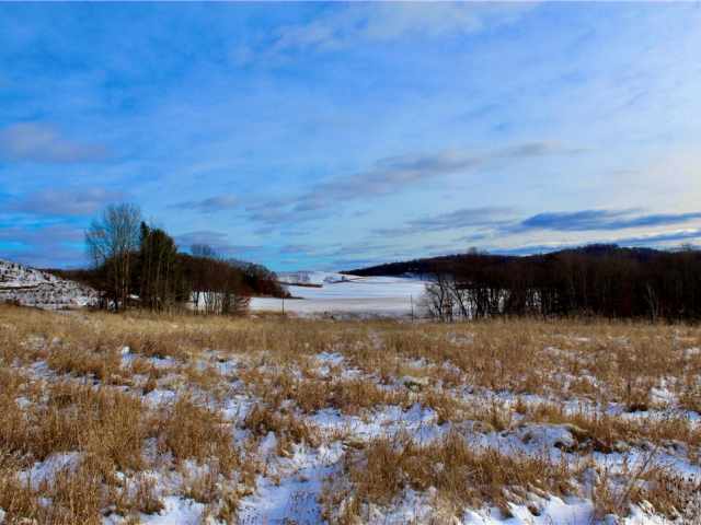 Elk Mound Land Real Estate