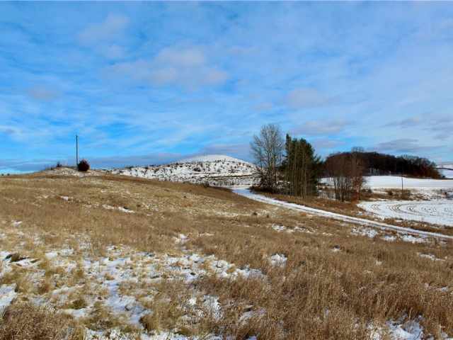 Elk Mound Land Real Estate