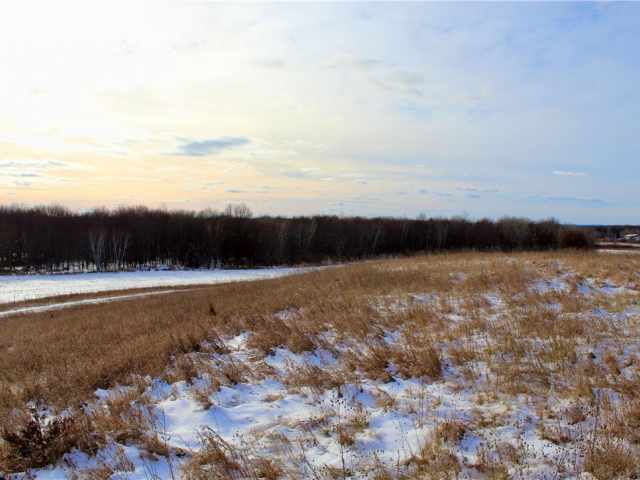 Elk Mound Land Real Estate