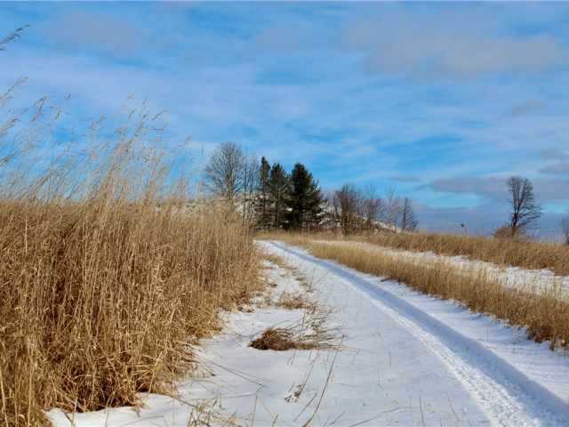 Elk Mound Land Real Estate