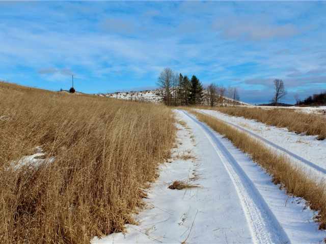 Elk Mound Land Real Estate