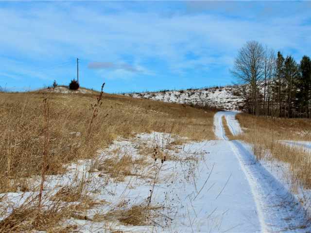 Elk Mound Land Real Estate