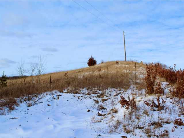 Elk Mound Land Real Estate