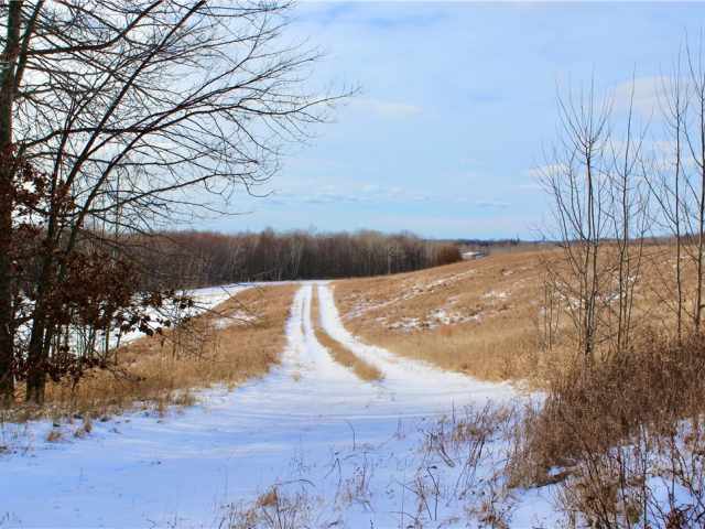 Elk Mound Land Real Estate