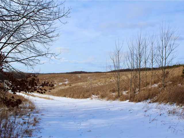 Elk Mound Land Real Estate