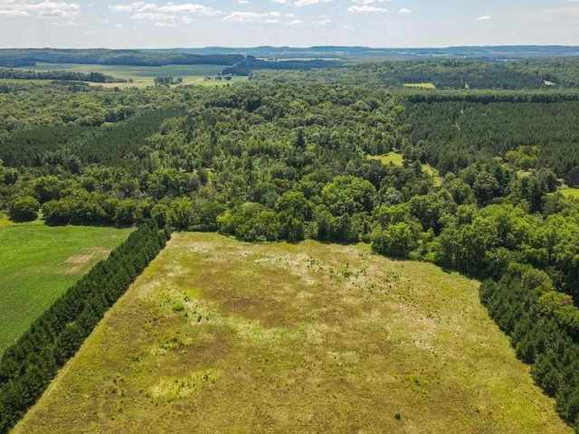 Boyceville Land Real Estate