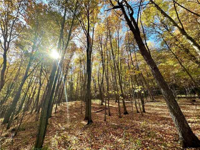 Elk Mound Land Real Estate