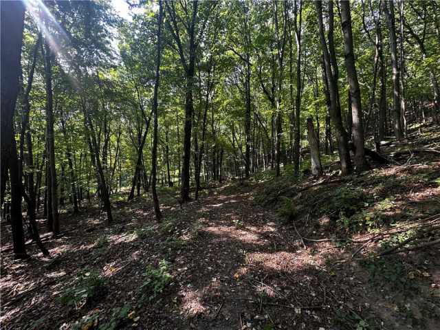 Elk Mound Land Real Estate