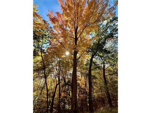 Elk Mound Land Real Estate