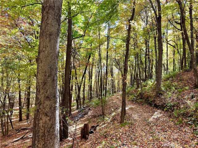 Elk Mound Land Real Estate