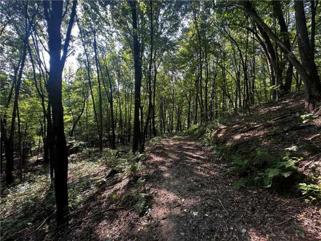 Elk Mound Land Real Estate