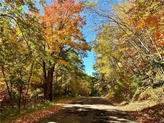 Elk Mound Land Real Estate